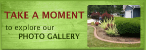 Take a moment to explorer our photo gallery